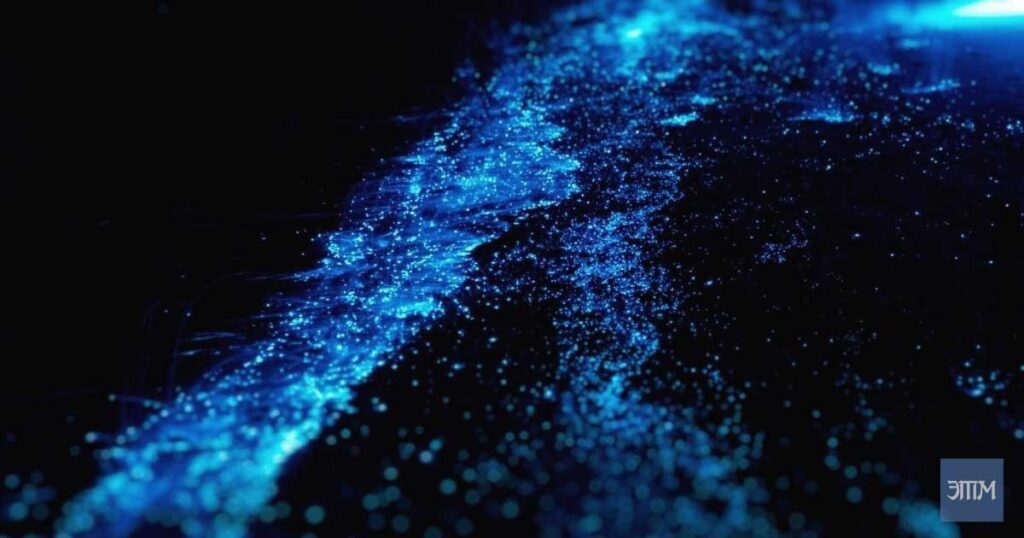 Таинственное эхо и биолюминесцентные огни в море 2 биолюминесцен