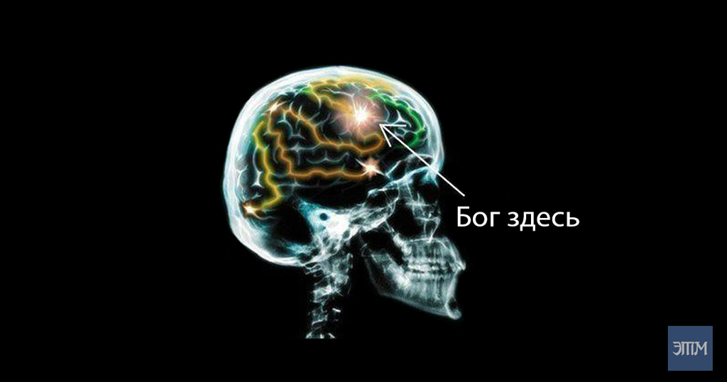 В нашем мозге найдена “точка Бога” 2 точка бога