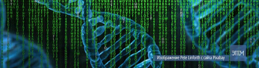 Если мы живем в симуляции, сколько компьютерной памяти ей нужно? 2 симуляция