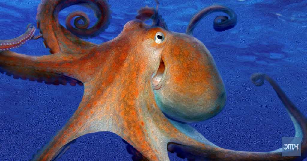 осьминог