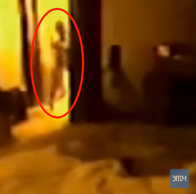 Ролик канала History показывает "пришельца" в спальне мужчины (ВИДЕО) 1 пришельц