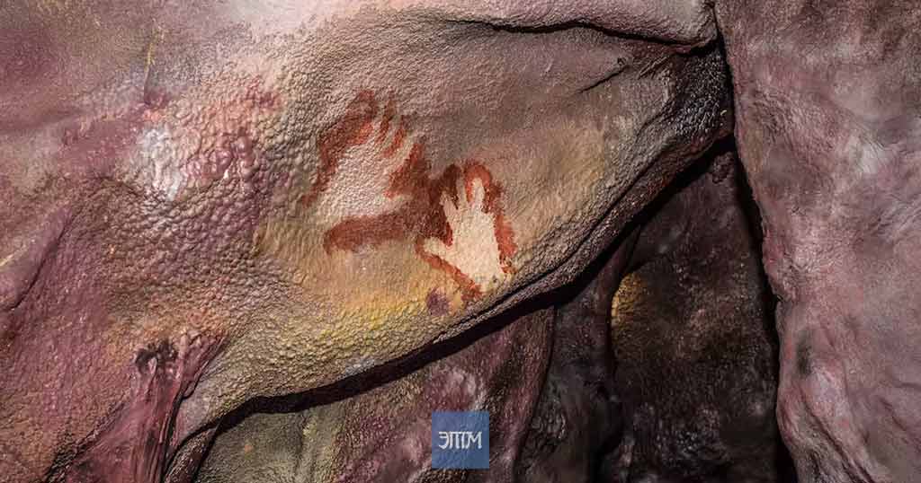 Homo Sapiens