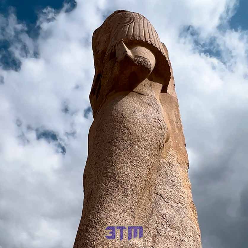 цариц