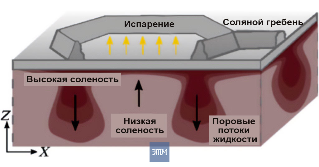 Ученые объяснили появление геометрических фигур на поверхности солончаков 2 солончак