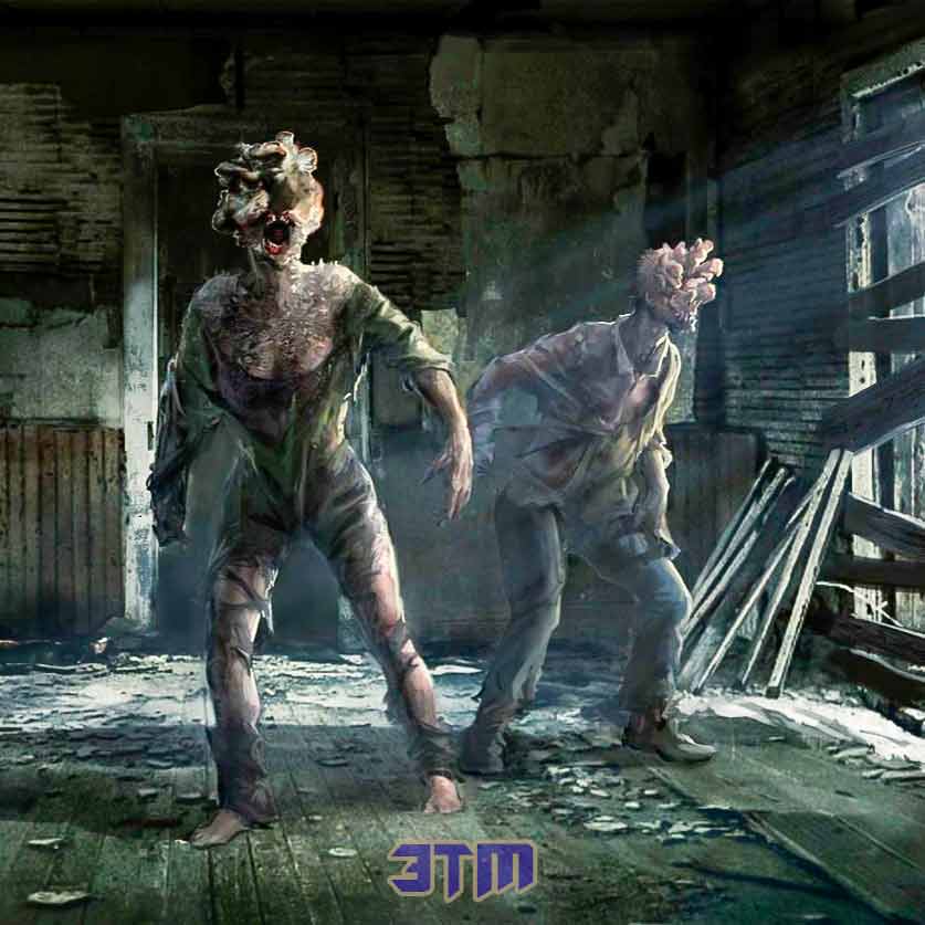 грибок