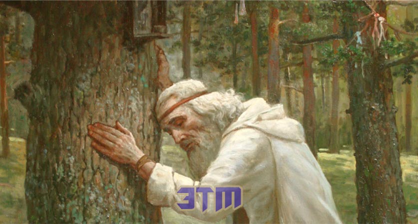 Какова история друидов и кем они были на самом деле? 3 друид