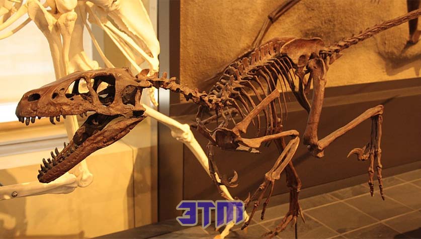 космос