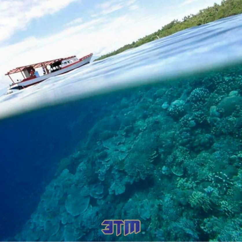 температура