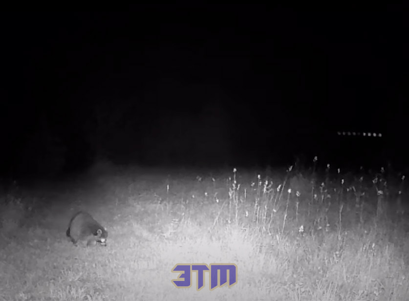нло