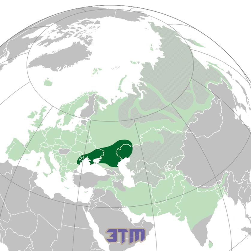 Исследование: индоевропейская языковая семья зародилась к югу от Кавказа 3 индоевропейск