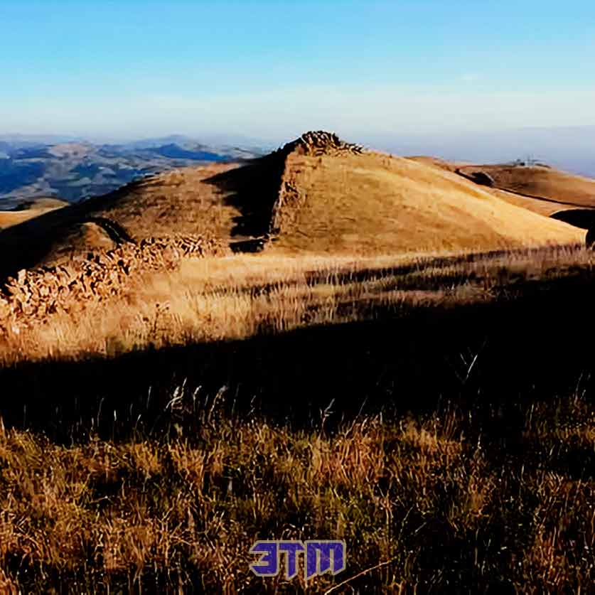 стены