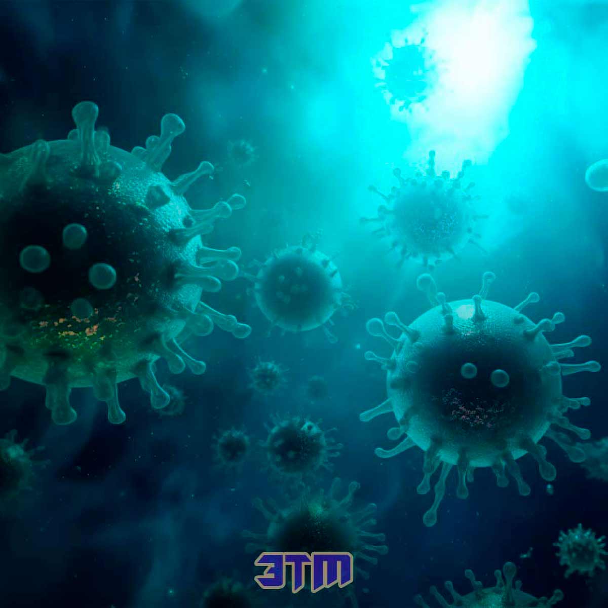 virus 01 1