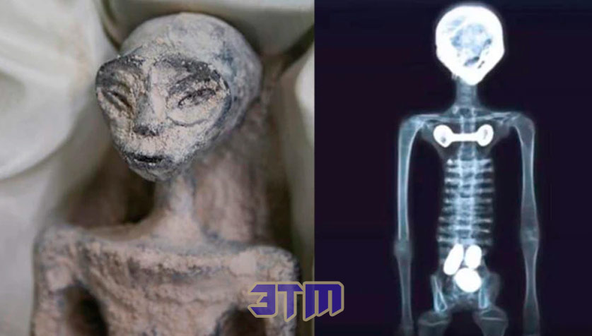 пришельц