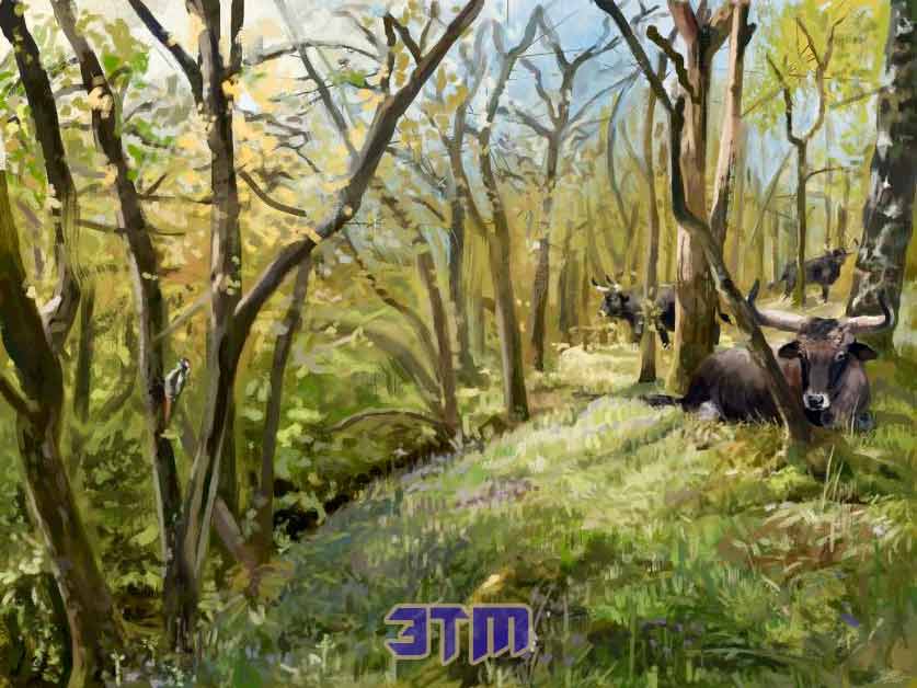 европ