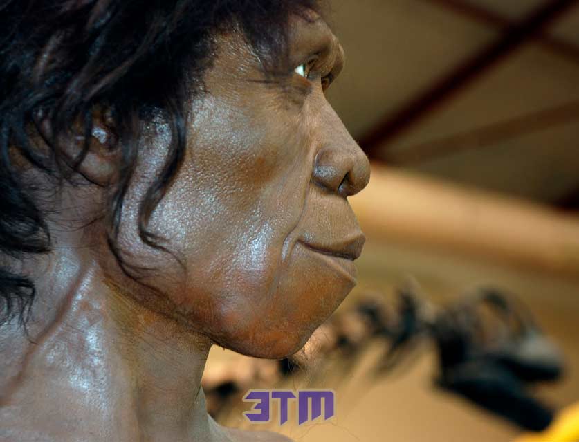 Эпоха мудрецов: что отличает Homo Sapiens от обезьян? 2 Homo sapiens