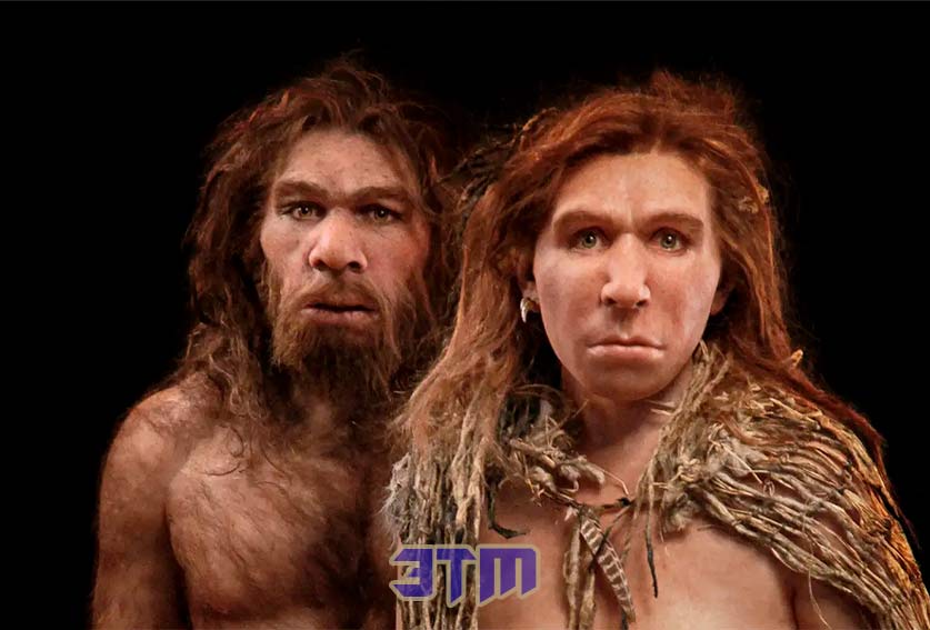 Если вы “жаворонок”, то это может быть связано с ДНК неандертальцев 2 неандертал