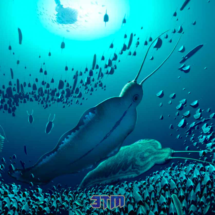 черви