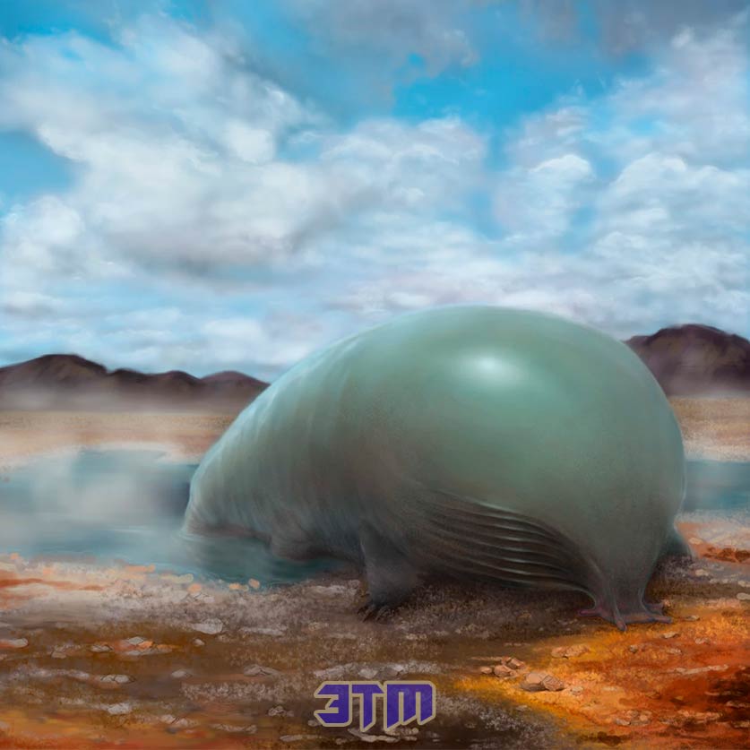 жизни