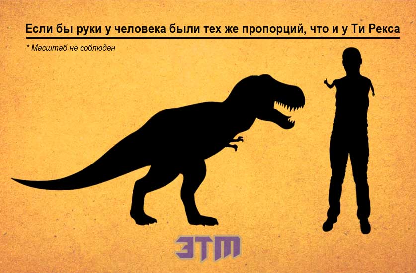 Почему у динозавров, как Ти Рекс, были такие крошечные руки? 2 динозавр