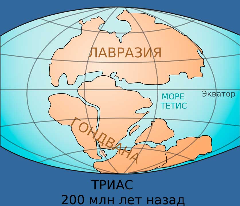 гондвана