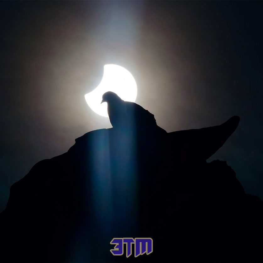 затмени