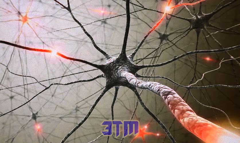 нейрон