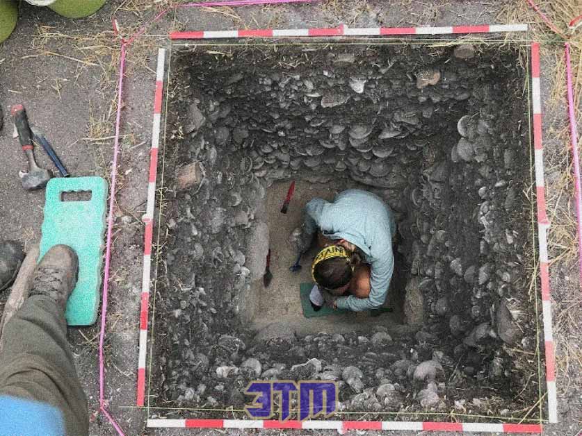 Открытие на Большом Барьерном рифе переписывает историю 9 открытие