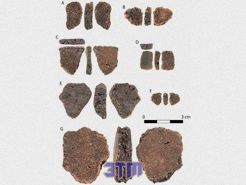Открытие на Большом Барьерном рифе переписывает историю 11 открытие