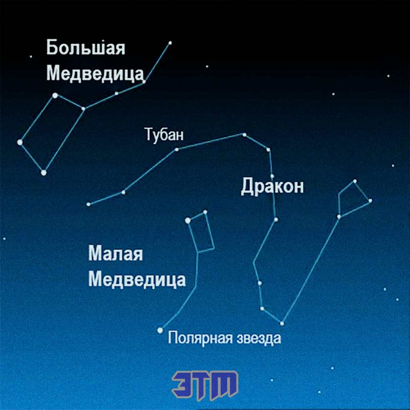 полярн