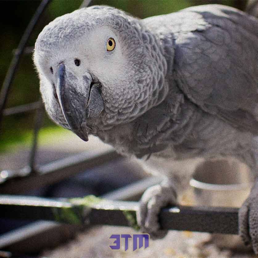сознан