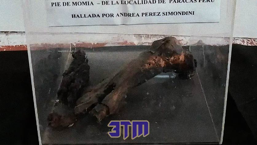 Власти конфисковали “ногу пришельца” после рейда на Музей НЛО в Аргентине 9 нло