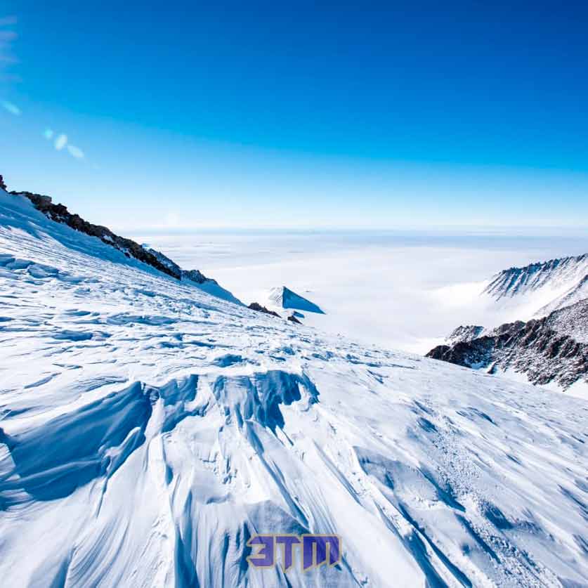 антарктид