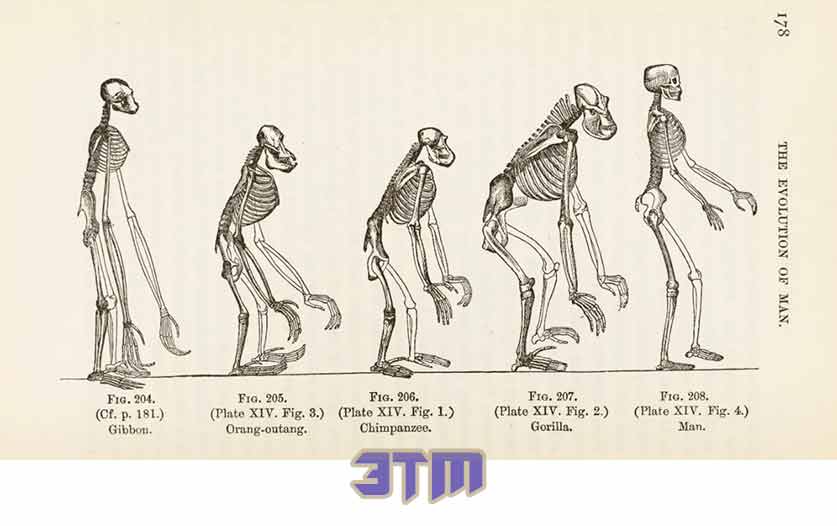 прогресс