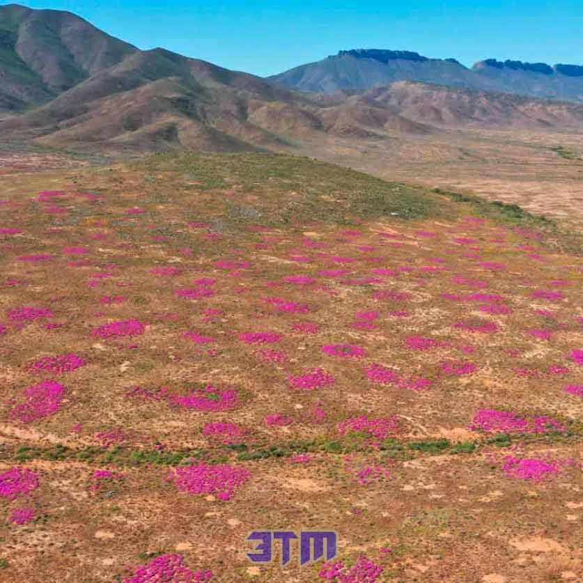 Древние строители: термитники возрастом 34 000 лет 1 термит