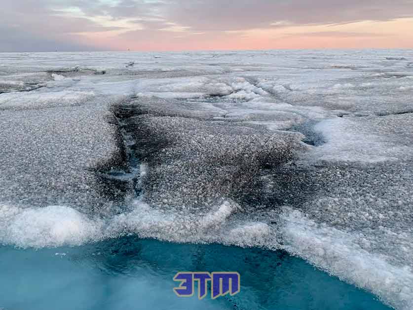 На ледовом панцире Гренландии обнаружены странные гигантские вирусы 2 вирус