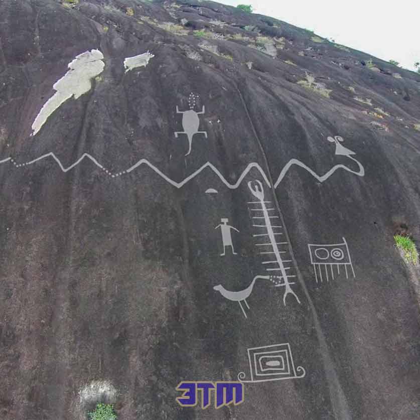 змеи