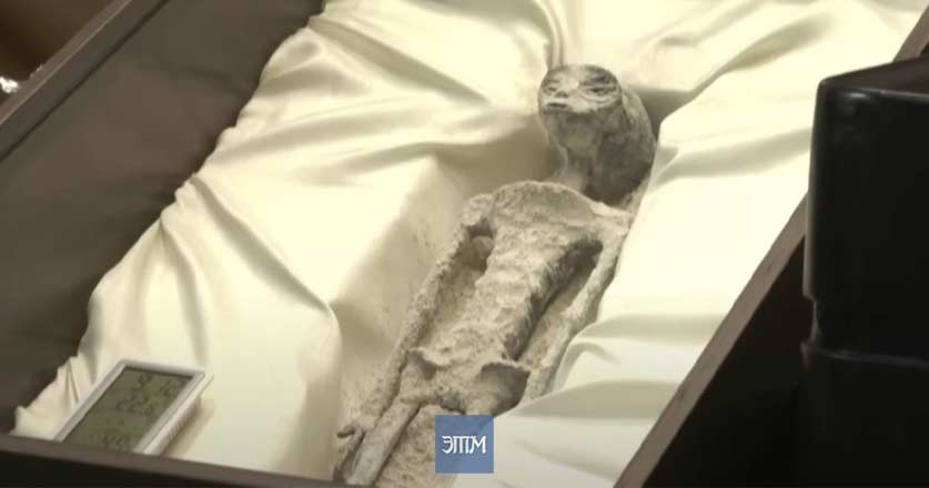 Отпечатки пальцев углубляют тайну мумий "пришельцев" из Перу 1 prishelcz 01