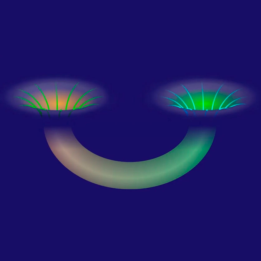 этот таинственный мир