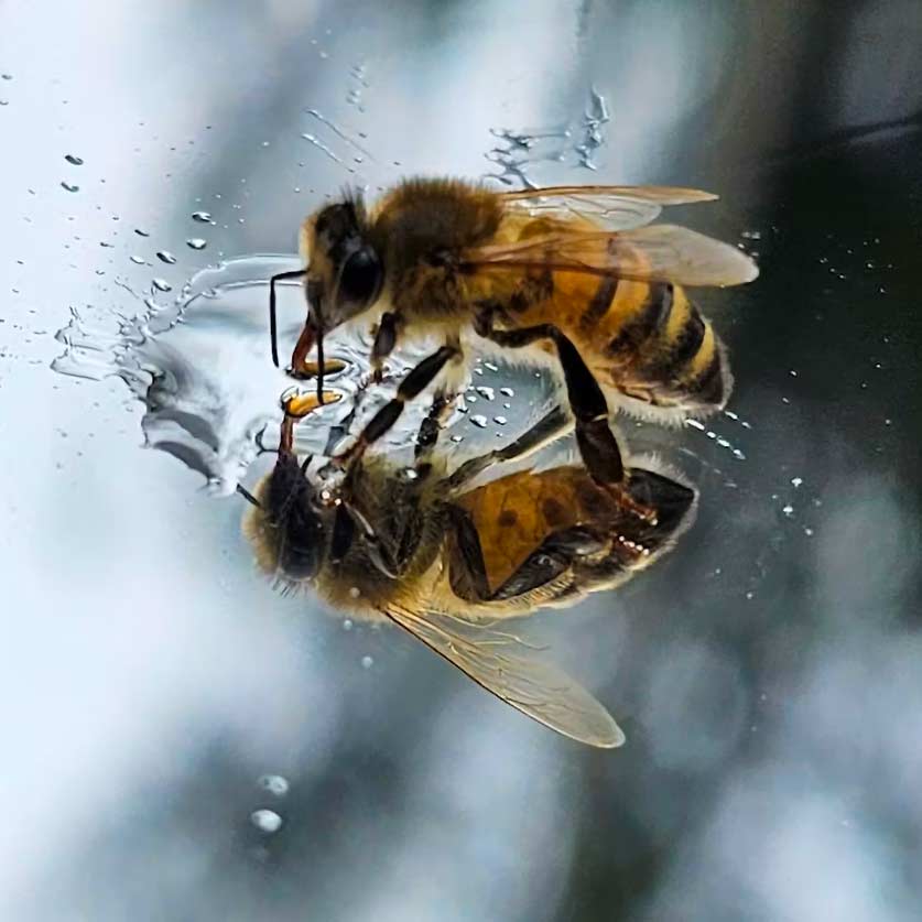 этот таинственный мир