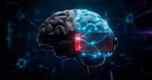 Биологическая нейросеть контролирует использование памяти