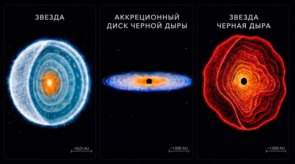 Сравнение внутреннего строения обычной звезды, классического аккреционного диска и звезды-черной дыры в разрезе.