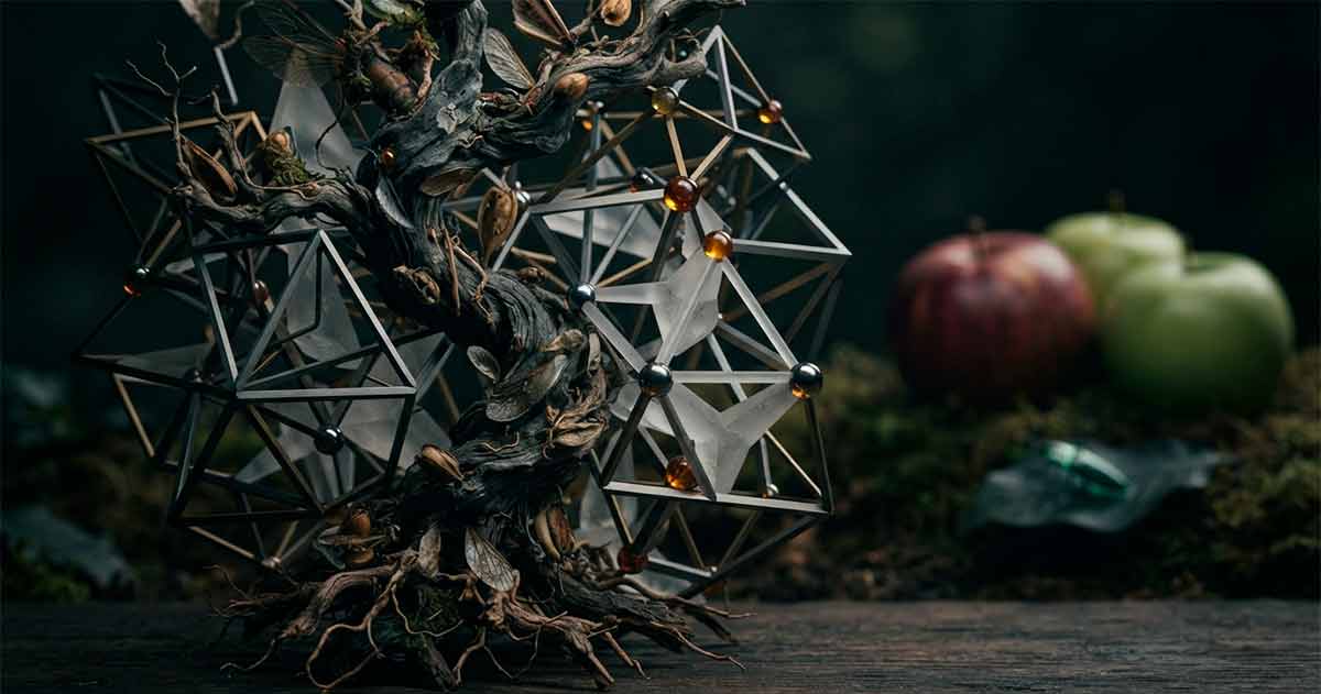 3D-визуализация марковской модели с геометрическими связями и эволюционным древом, иллюстрирующая ошибки эволюционных моделей.