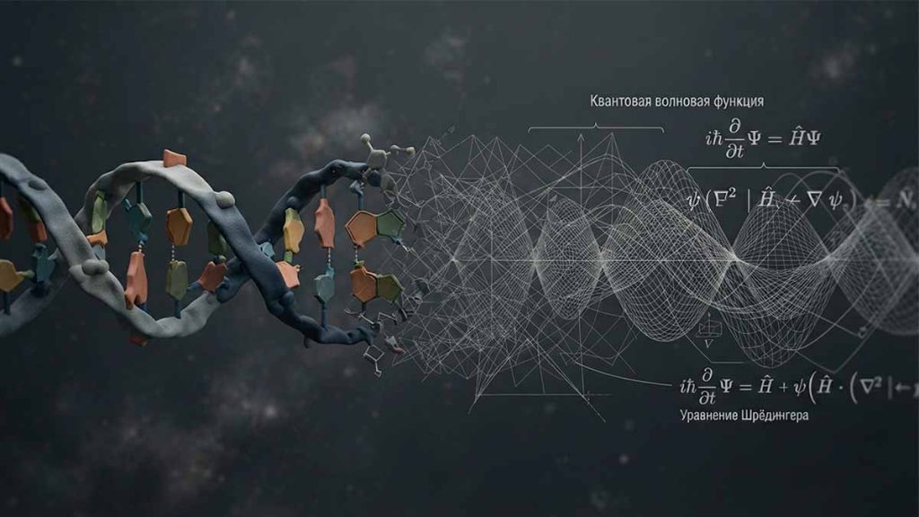 Происхождение жизни и квантовая физика Вселенной 7 Происхождение жизни сквозь призму квантовой физики и термодинамики.